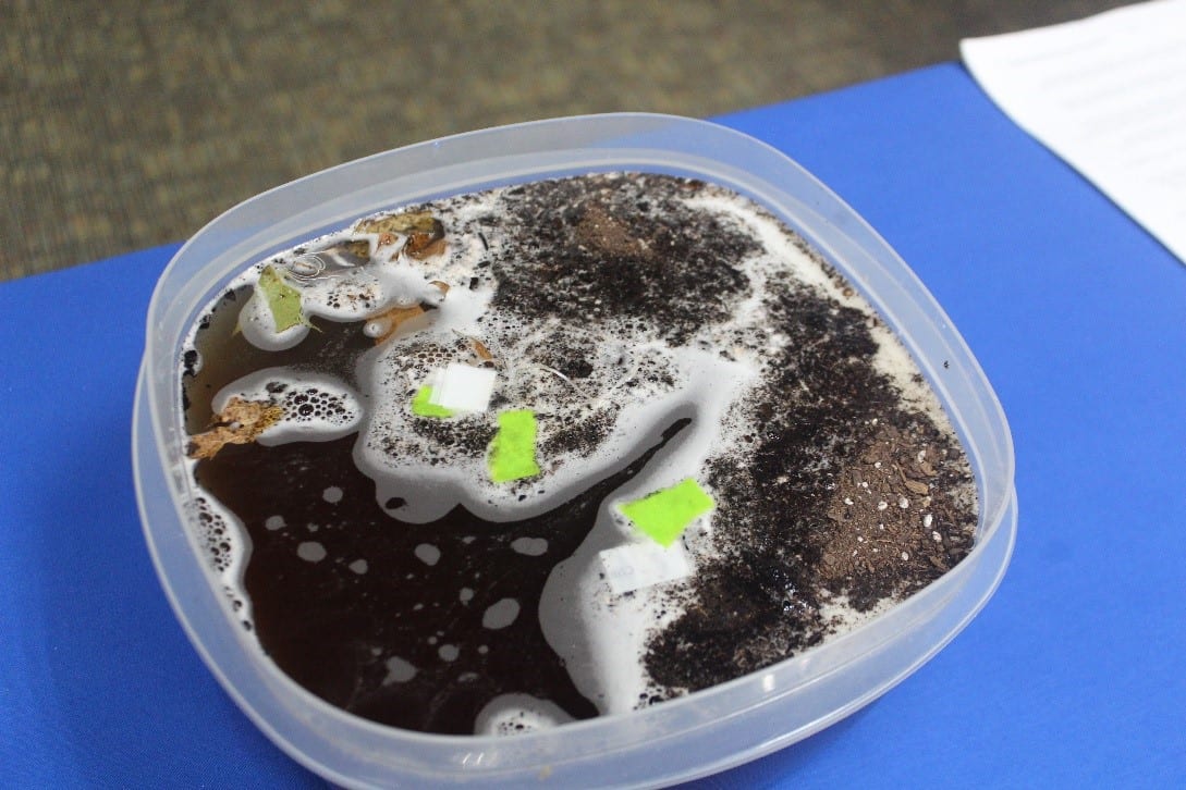 A bowl of polluted water is the end result of the early childhood lesson Who Polluted the River?, where students model the changes in a local river over time.