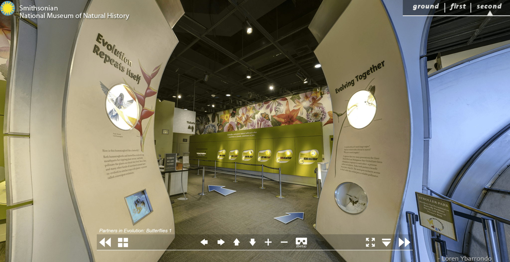 Screenshot of the virtual butterfly exhibit at the Smithsonian National Museum of Natural History
