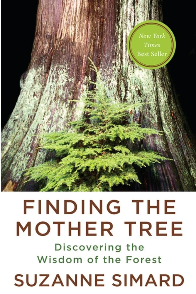 Book cover - Finding the Mother Tree by Suzanne Simard