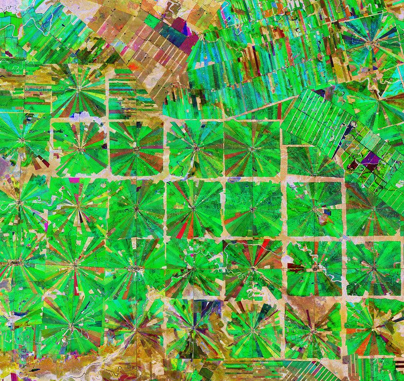 Satellite image of Santa Cruz, Bolivia, where part of the tropical dry forest has been cleared for agricultural use.