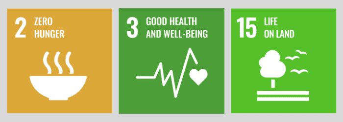 Logos for United Nations Sustainable Development Goals 2, 3 and 15