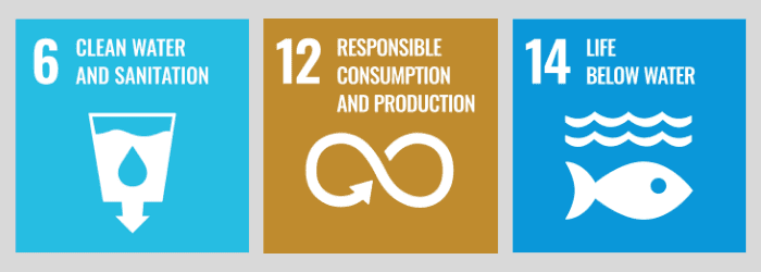 Logos for United Nations Sustainable Development Goals 6, 12 and 14