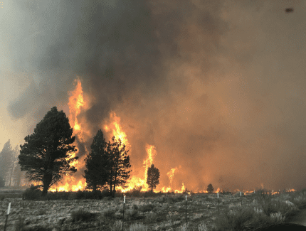A wildfire burns through an Oregon forest