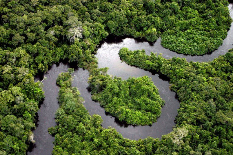 An aerial view shows a dark grey river winding through rainforest trees