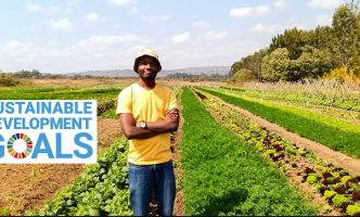 A man stands in the middle of rows of crops, smiling, with his arms folded across his chest. The UN SDGs icon is beside him.