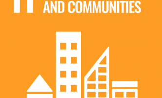UN SDG 11 Sustainable Cities and Communities logo