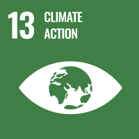 UN SDG 13 Climate Action logo