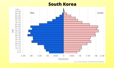 What Is a Negative, or Top-Heavy, Population Pyramid? - Population ...