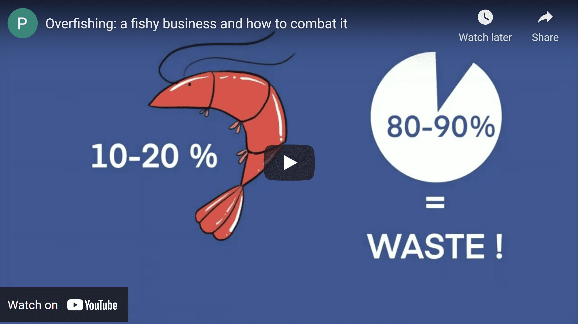 Video screenshot for Overfishing: A Fishy Business and How to Combat It by Fatma Raghani, Mauritania