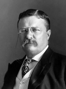 Teddy Roosevelt was an Environmentalist President