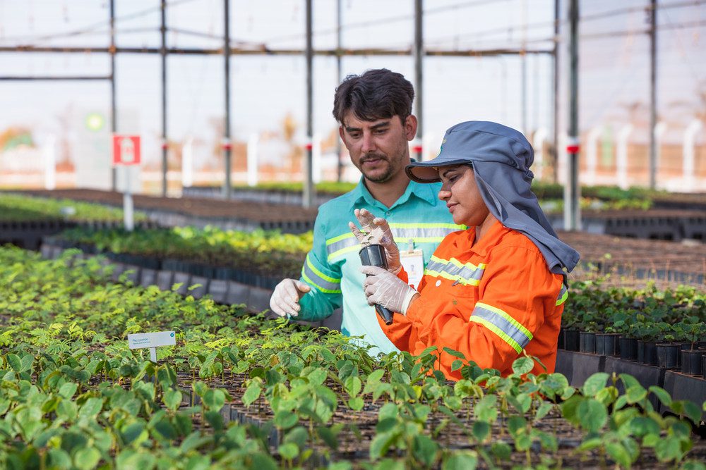 Environmental engineers study plants.