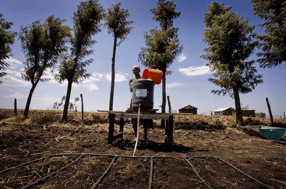 A person uses the drip irrigation technique in Kenya.