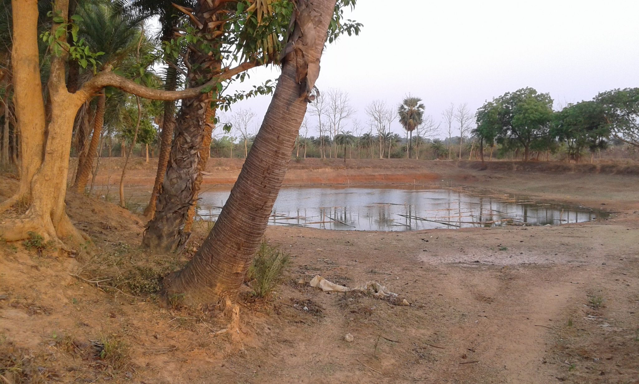 Water harvesting