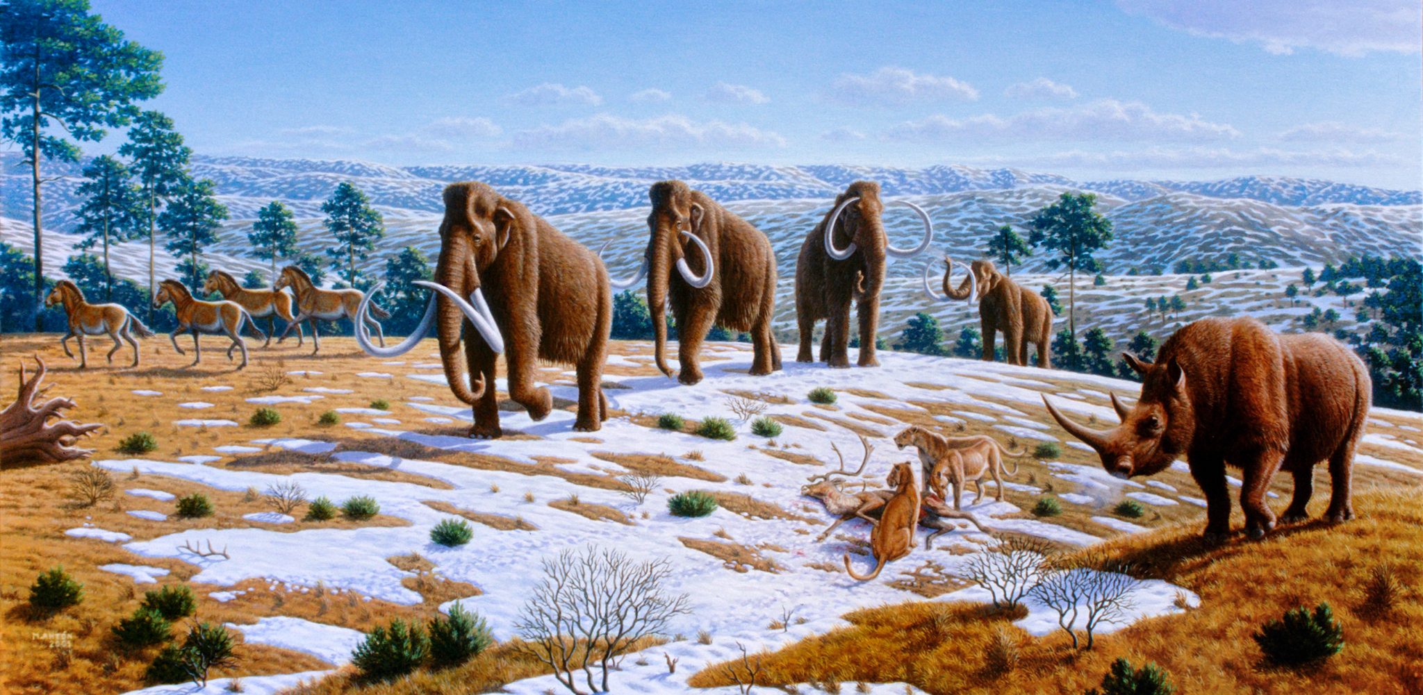 Mammoths, sabertooth tigers, and other Ice Age animals.