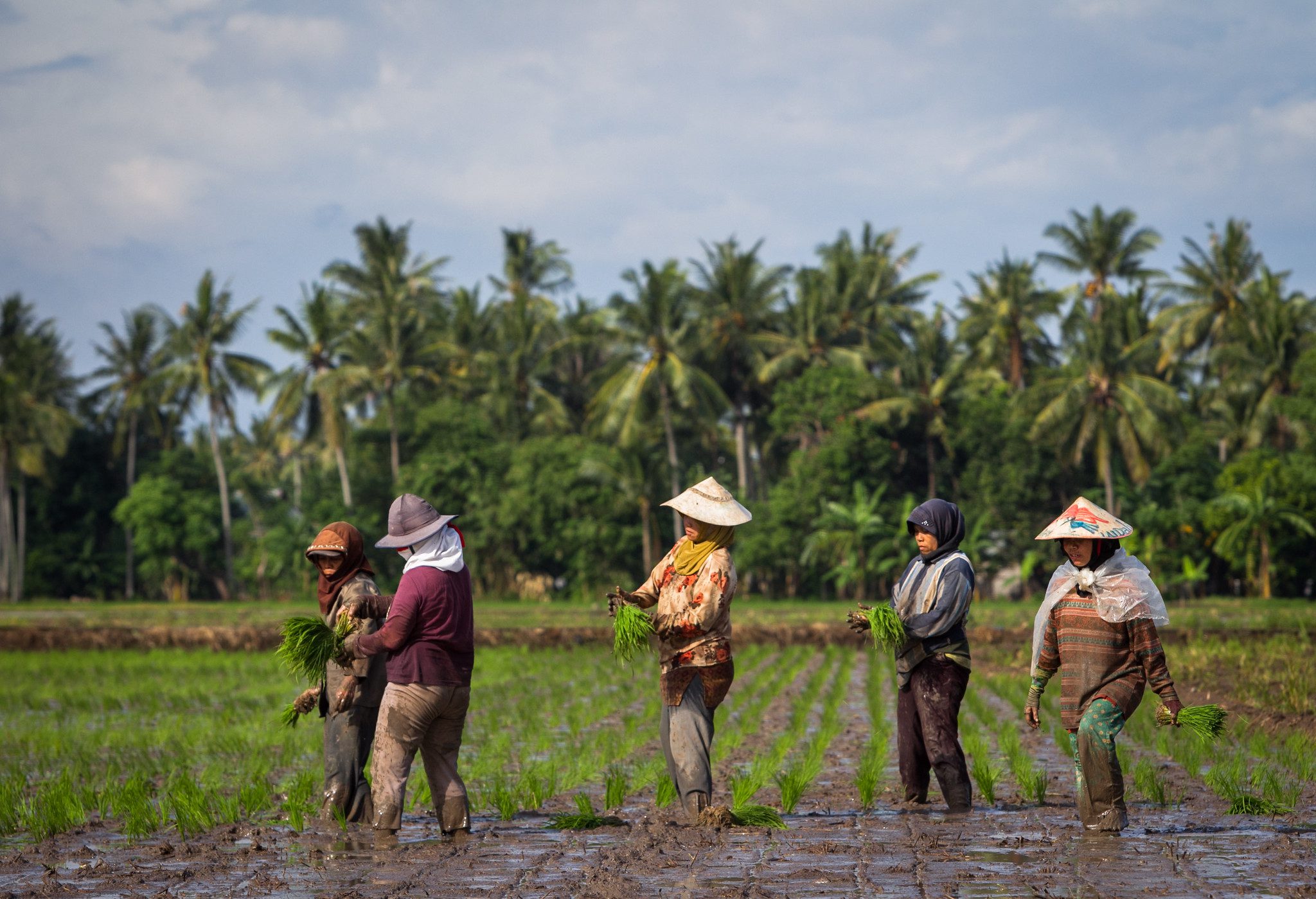 Women farmers