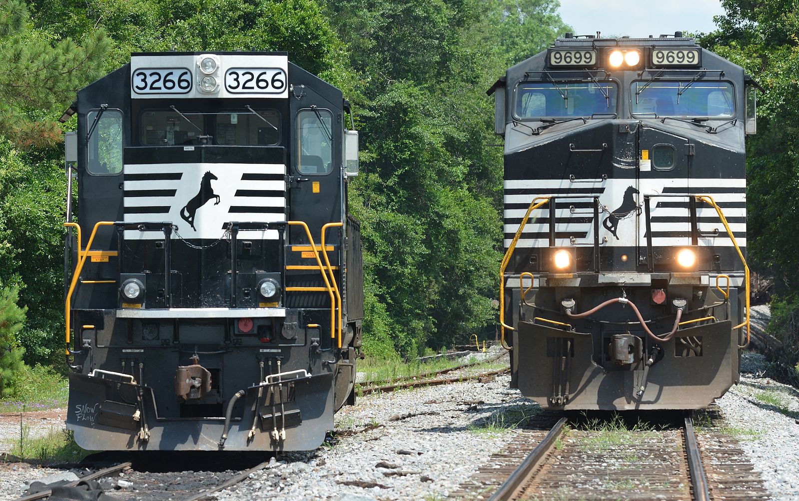 Norfolk Southern trains