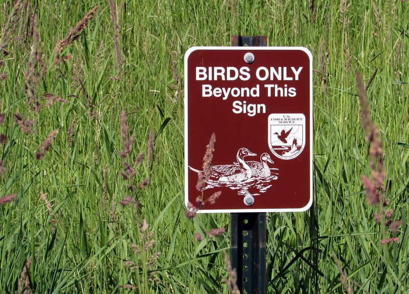 Sign that reads "BIRDS ONLY Beyond This Sign" and stands in a marsh