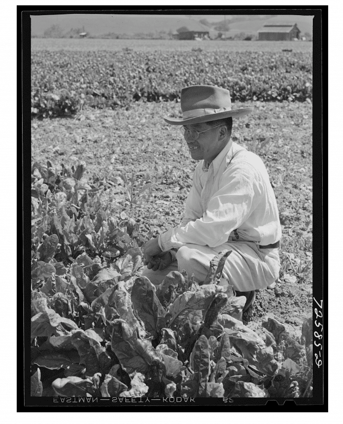 Archival image of a Japanese American man on a farm.