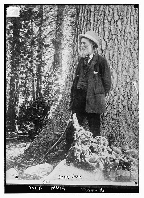 John Muir standing by a large tree, black and white photograph