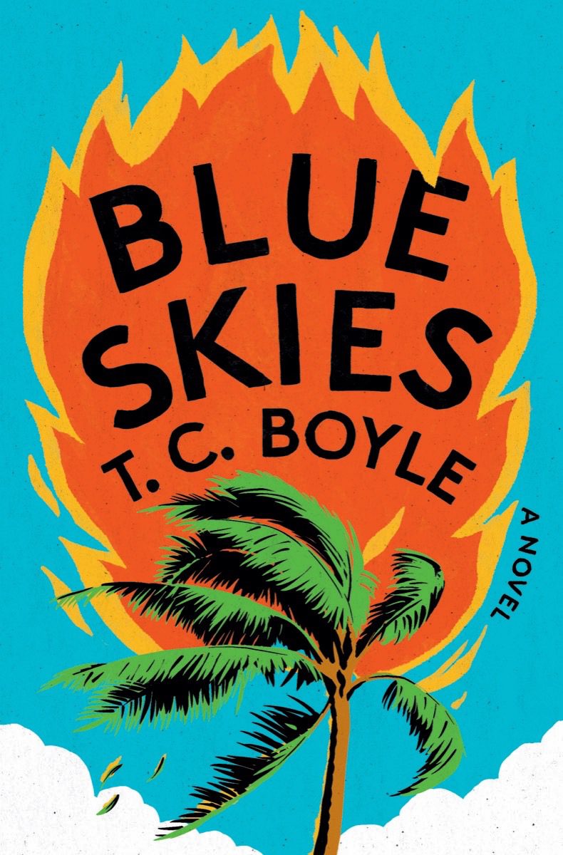 Book cover of Blue Skies by T.C. Boyle
