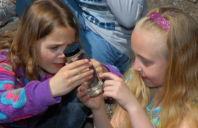 Two students studying bug in jar for outdoor education