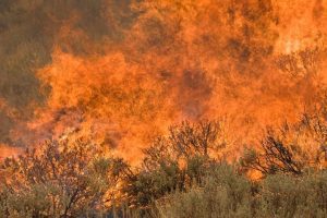 Climate change worsened the 48,000-acre Castle Rock wildfire near Ketchum, Idaho sparked by lightning strikes in 2007.