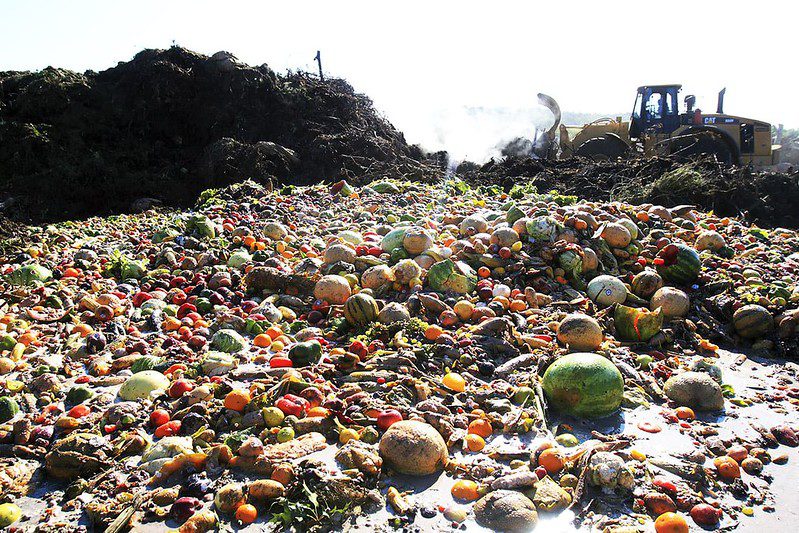 Food waste in a landfill, a large source of greenhouse gasses connecting to climate change