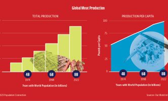 Infographic on historic production level of meat. Graphs show per capita and total production.
