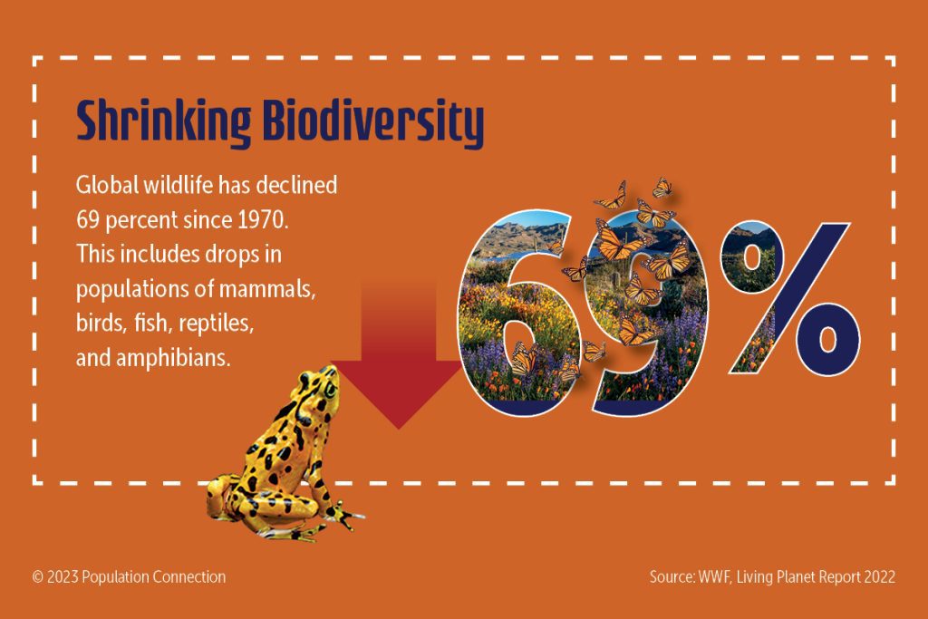 Shrinking biodiversity - global wildlife has declined 69 percent since 1970.