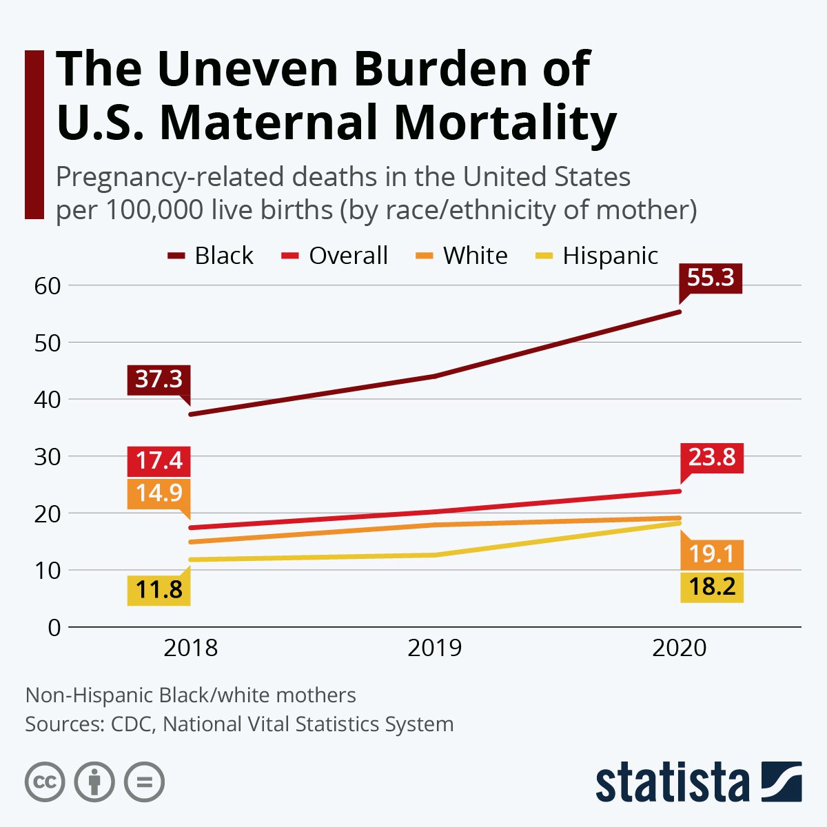 Graph showing pregnancy-related deaths in US by race/ethnicity of mother.