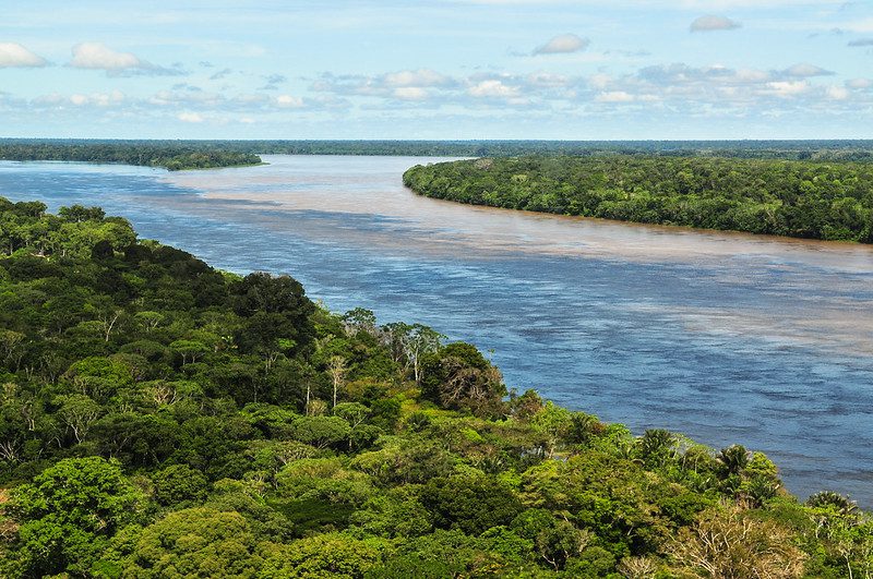 Aerial view of the Amazon rainforest and river in Brazil.