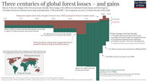 Graph on 300 years of temperate and rainforest deforestation shows temperate forests have had a net gain since 1990.