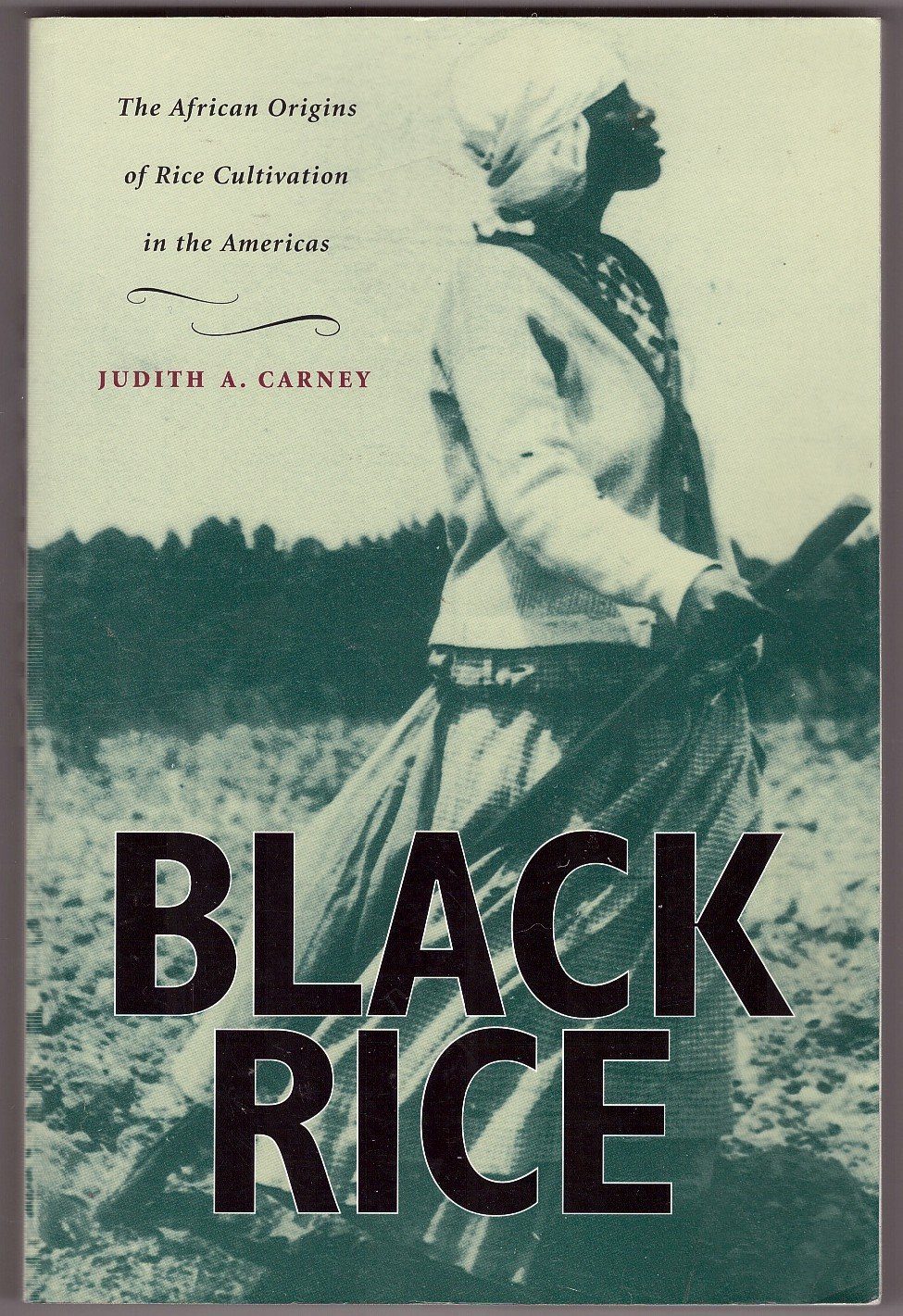 Summer Reading List, Justice Topics - Population Education