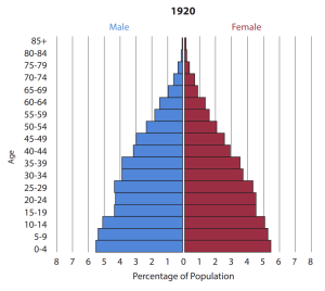 Population pyramid for the United States in 1920.