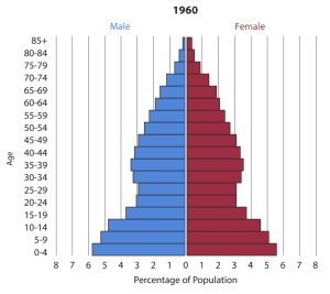 Population pyramid for the United States in 1960.