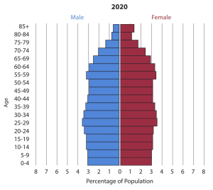 Population pyramid for the United States in 2020.