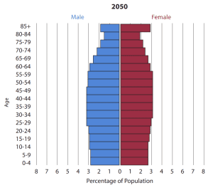 Population pyramid for the United States in 2050.