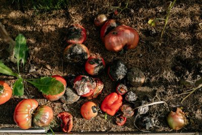 Understanding Hunger: Causes, Solutions, and How to Take Action ...
