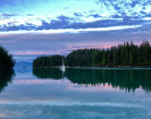 The sunset and treeline are reflected in the still water of the Tongass National Forest, a temperate rainforest in Alaska.