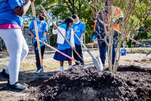 A group of three school-age children and two adult volunteers work together to plant a tree in their neighborhood. 