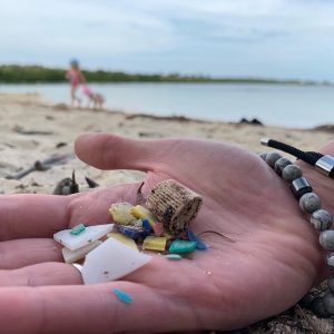 A volunteer cleaning the beach holds out a handful of small plastic pieces that have washed up in the sand.
