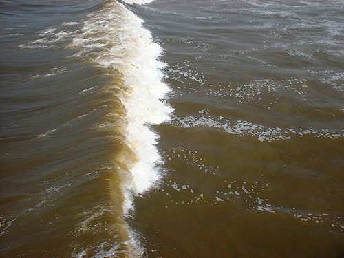 Red tide, a harmful algal bloom, in Santa Monica Bay.